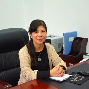 ����������(zh��n)�y��2016��ǰ�����ȹ����śr